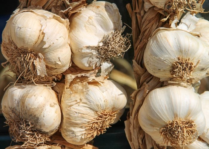 garlic-3747176_1920